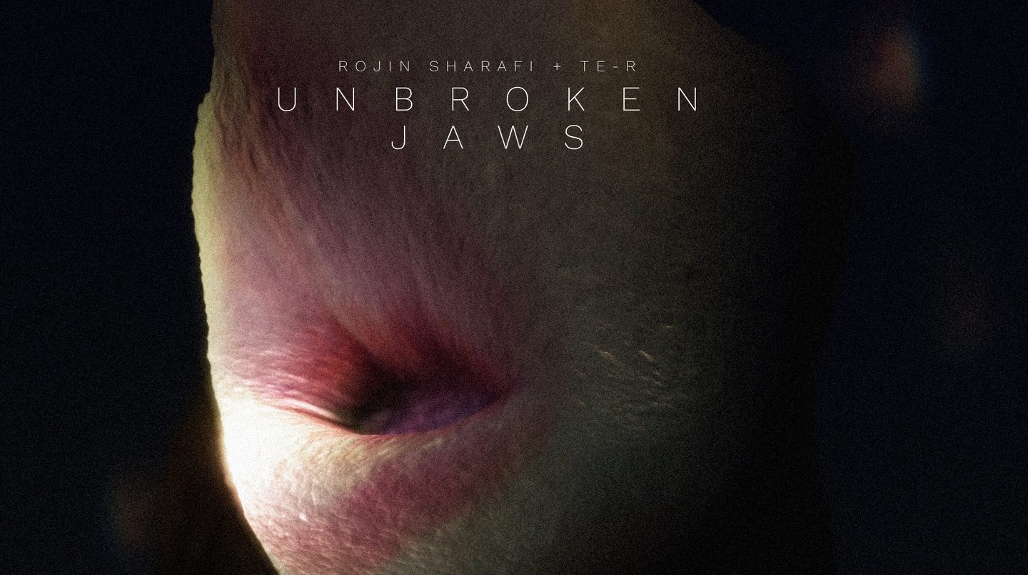 unbroken jaws