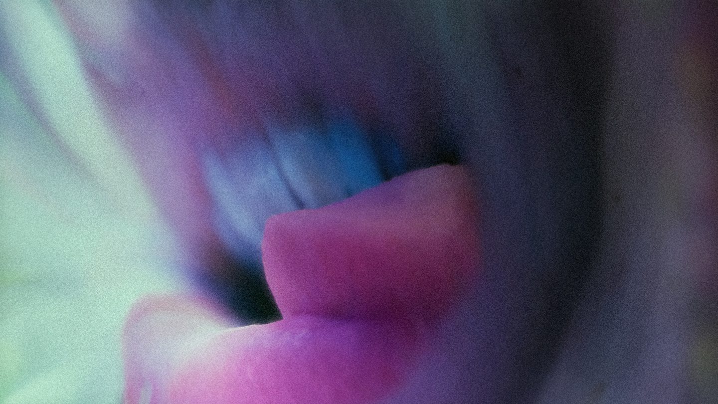unbroken jaws