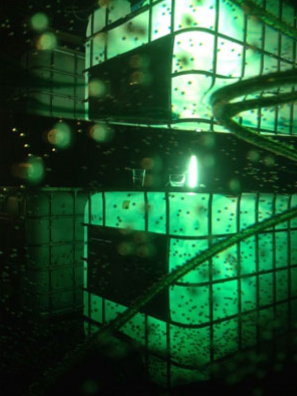 Opera of Entropy · Opera of Time